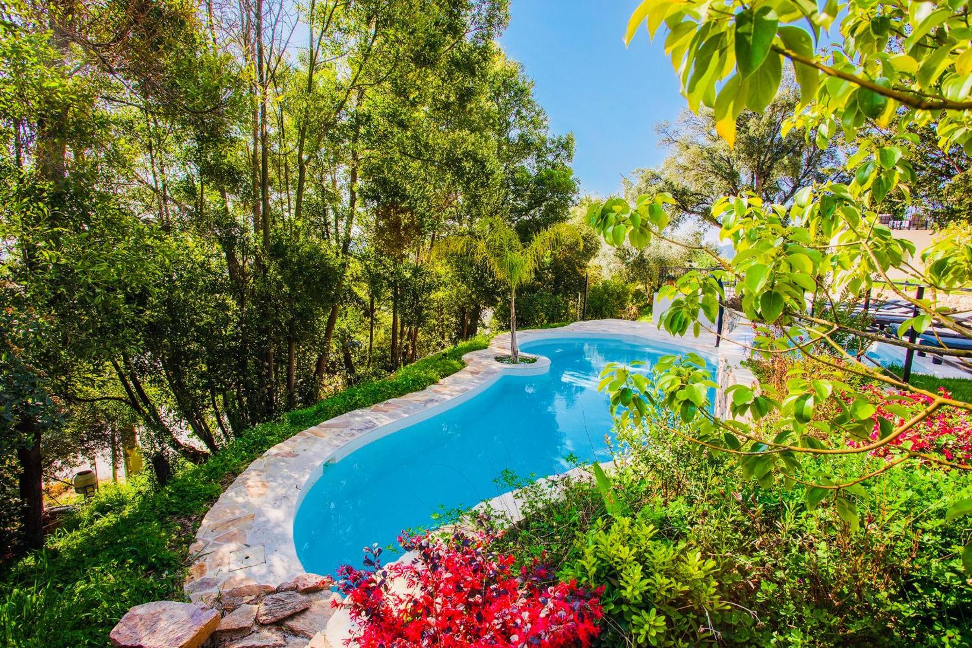 Villa Les Roches Mandelieu 外观 照片